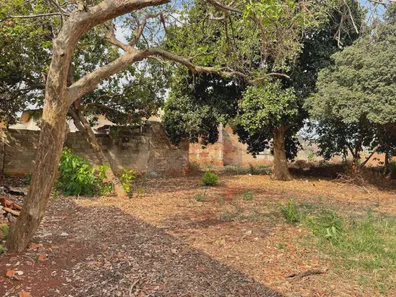 Loja / Salão / Ponto Comercial com 3 Quartos à venda, 269m² no Centro, Sertãozinho