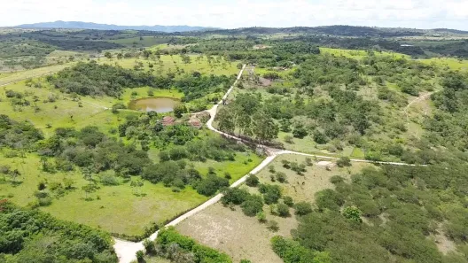 Fazenda / Sítio / Chácara com 3 Quartos à venda, 120000m² no , Sairé