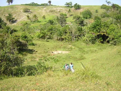Terreno / Lote / Condomínio à venda, 291666m² no , Simões Filho