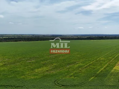 Fazenda / Sítio / Chácara à venda, 500m² no , Pium