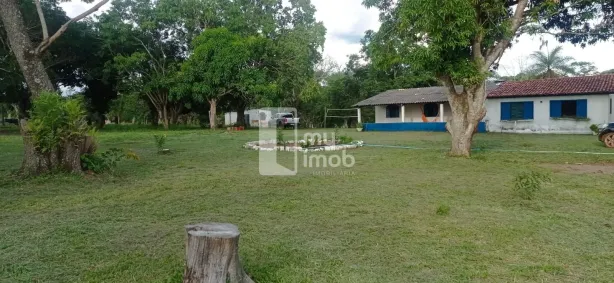 Fazenda / Sítio / Chácara com 4 Quartos à venda, 72600m² no Parque Estrela Dalva VI (Pedregal), Novo Gama