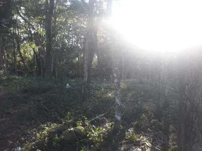 Terreno / Lote / Condomínio à venda, 1000m² no Ortizes, Piedade