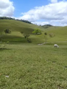 Fazenda / Sítio / Chácara à venda, 950000m² no , Joaquim Gomes