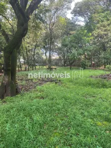 Terreno / Lote Comercial à venda, 2000m² no Centro, São José da Lapa