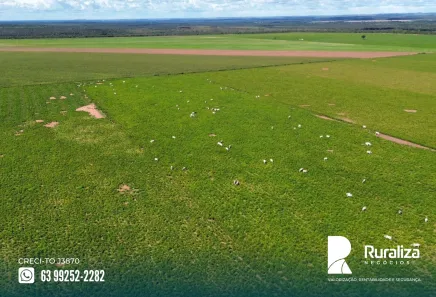 Fazenda / Sítio / Chácara à venda, 755m² no , Pedro Afonso