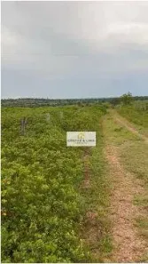 Fazenda / Sítio / Chácara com 8 Quartos à venda, 600m² no São José, Formoso do Araguaia