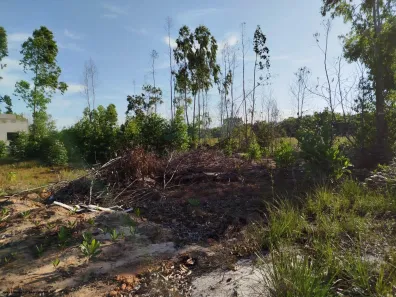 Terreno / Lote / Condomínio à venda, 600m² no , Prado