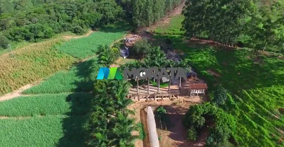 Fazenda / Sítio / Chácara com 4 Quartos à venda, 53m² no Centro, Viçosa