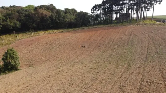 Fazenda / Sítio / Chácara com 1 Quarto à venda, 12312m² no Botiatuva, Campo Largo