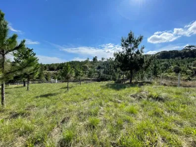 Terreno / Lote / Condomínio à venda, 3786m² no Loteamento Bosque Merhy, Quatro Barras