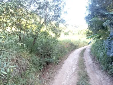 Fazenda / Sítio / Chácara com 1 Quarto à venda, 4000m² no Área Rural de Viçosa, Viçosa