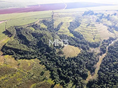 Fazenda / Sítio / Chácara com 2 Quartos à venda, 80m² no Loteamento S Jose, Capivari