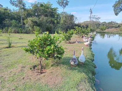 Fazenda / Sítio / Chácara com 3 Quartos à venda, 390000m² no Área Rural de Novo Gama, Novo Gama