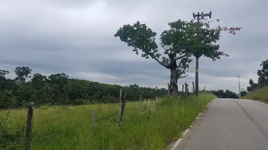 Fazenda / Sítio / Chácara à venda, 29440m² no , Araçoiaba da Serra