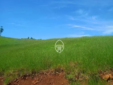 Fazenda / Sítio / Chácara à venda, 387200m² no Cruzeiro do Norte, Uraí
