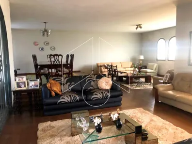 Loja / Salão / Ponto Comercial para alugar, 15m² no Jardim Tangará, Marília
