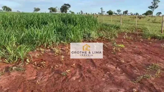 Fazenda / Sítio / Chácara com 5 Quartos à venda, 800m² no Padre Bernardo, Padre Bernardo