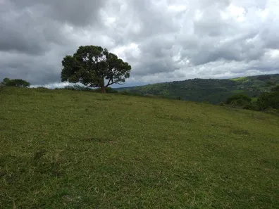Fazenda / Sítio / Chácara com 2 Quartos à venda, 78408m² no Centro, Muritiba