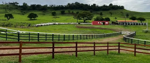 Terreno / Lote Comercial à venda, 1766600m² no Uraí, Uraí