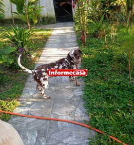 Fazenda / Sítio / Chácara com 2 Quartos à venda, 100m² no Cidade Jardim Parque Estoril, Nova Iguaçu