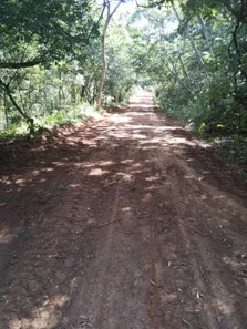 Terreno / Lote / Condomínio à venda, 565m² no Açu da Torre, Mata de São João