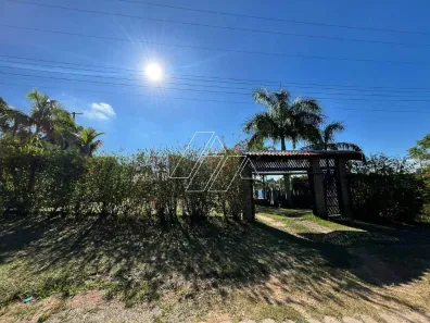 Fazenda / Sítio / Chácara com 3 Quartos para alugar, 300m² no Jardim Florença, Marília