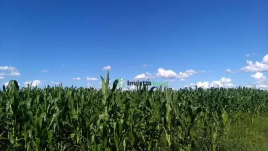 Fazenda / Sítio / Chácara à venda, 411m² no Centro, Cristalândia