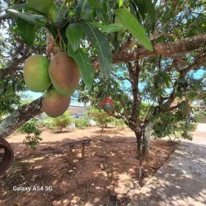 Fazenda / Sítio / Chácara com 1 Quarto à venda, 100m² no Jardim Continental, Taubaté