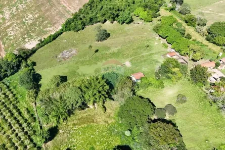Fazenda / Sítio / Chácara à venda, 6500m² no Condomínio Rural Colméia, Jaguariúna