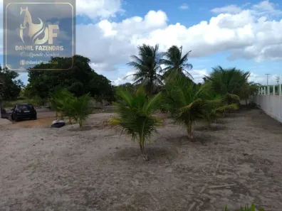 Fazenda / Sítio / Chácara com 2 Quartos à venda, 90m² no , Vera Cruz