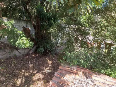 Fazenda / Sítio / Chácara com 2 Quartos à venda, 2721m² no Granja dos Cavaleiros, Macaé