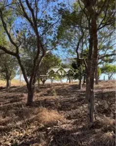 Fazenda / Sítio / Chácara com 2 Quartos à venda, 70m² no Santo Antônio, Paty do Alferes