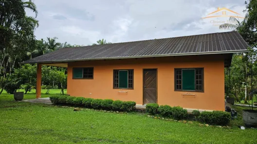 Fazenda / Sítio / Chácara com 4 Quartos à venda, 36469m² no , Antonina