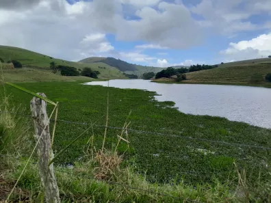 Fazenda / Sítio / Chácara com 6 Quartos à venda, 1070000m² no , Pombos