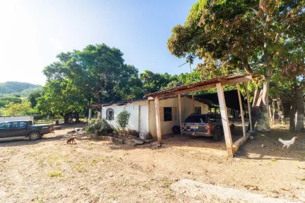 Fazenda / Sítio / Chácara com 4 Quartos à venda, 100000m² no Área Rural de Planaltina, Brasília