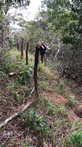 Fazenda / Sítio / Chácara à venda, 700000m² no Centro, Candeias