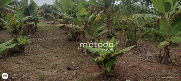 Terreno / Lote / Condomínio à venda, 1000m² no Chacara Santa Branca, Santa Branca