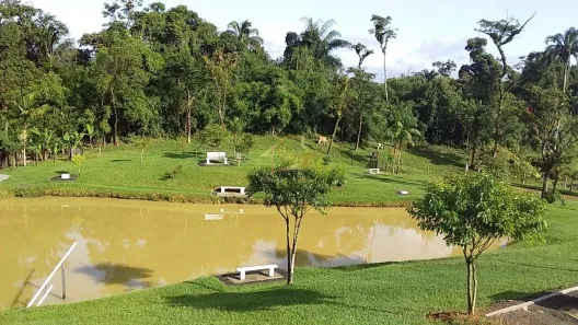 Fazenda / Sítio / Chácara com 3 Quartos à venda, 18000m² no , Antonina
