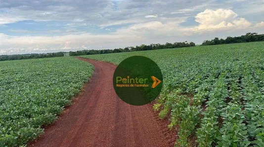 Fazenda / Sítio / Chácara à venda, 5030000m² no , Pedro Afonso