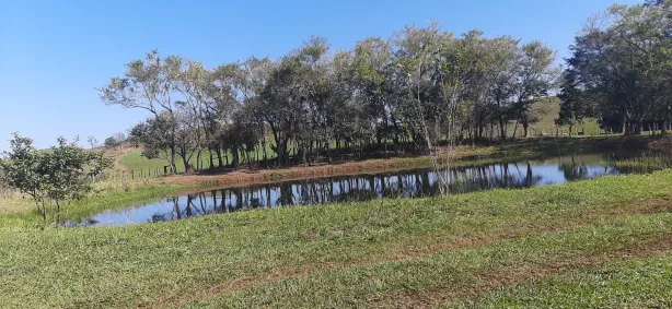 com 1 Quarto à venda, 1080094m² no , Guaraniaçu
