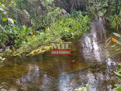 Fazenda / Sítio / Chácara à venda, 1050m² no , Ponte Alta do Tocantins