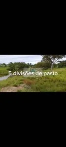 Fazenda / Sítio / Chácara com 1 Quarto à venda, 36m² no , Paranã