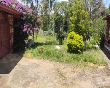 Fazenda / Sítio / Chácara com 2 Quartos à venda, 3850m² no Ibiúna, Ibiúna