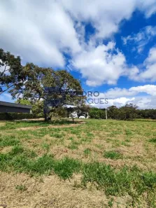 Terreno / Lote / Condomínio à venda, 800m² no , Fortuna de Minas