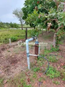 Fazenda / Sítio / Chácara à venda, 745m² no Setor Central, Divinópolis do Tocantins