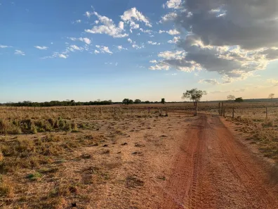 Fazenda / Sítio / Chácara com 5 Quartos à venda, 407m² no Área Rural de Gurupi, Gurupi