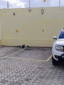 Casa de Condomínio com 3 Quartos à venda, 10m² no Ipitanga, Lauro de Freitas