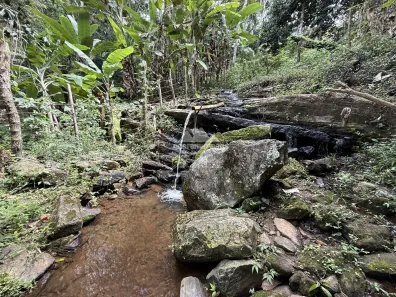 Fazenda / Sítio / Chácara com 6 Quartos à venda, 30000m² no , Pacoti
