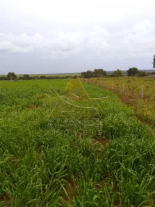 Fazenda / Sítio / Chácara com 6 Quartos à venda, 95287500m² no Guaraí, Guaraí
