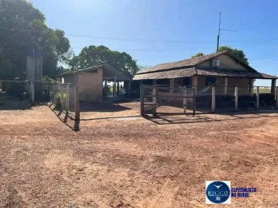 Fazenda / Sítio / Chácara com 1 Quarto à venda, 1880m² no Setor Central, Formoso do Araguaia